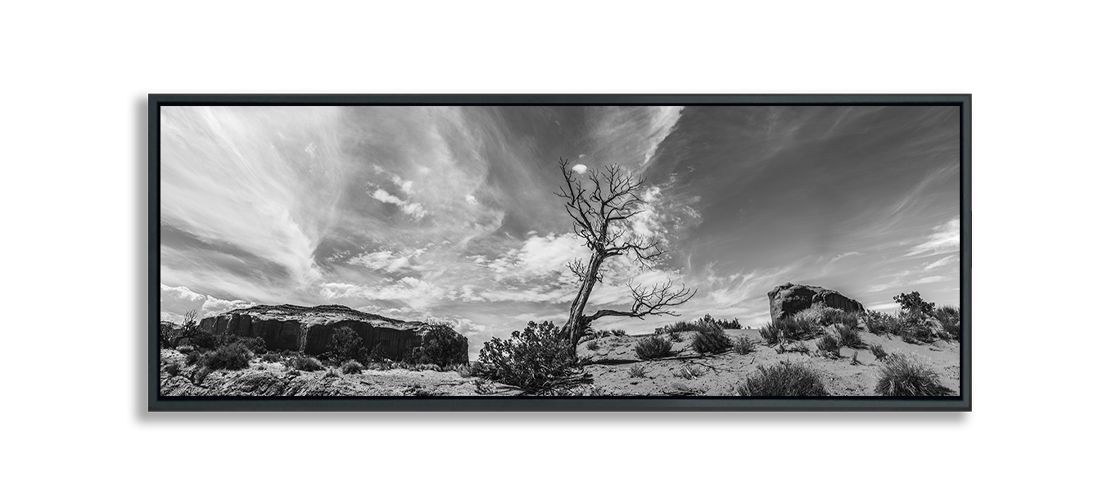 Black and white fine art photograph dried tree in Monument Valley against dramatic wispy clouds