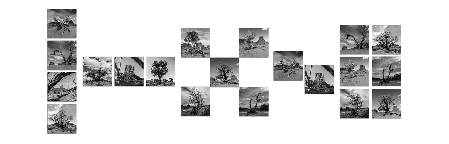 A Series of Trees in Monument Valley Square Metal Prints Collection displayed in groupings