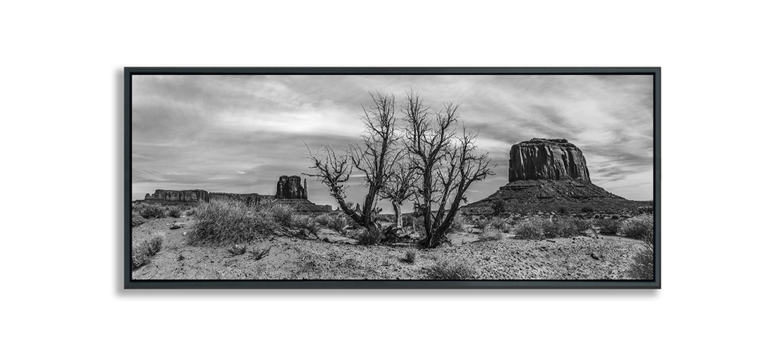 Black and white fine art photograph dried desert bush against Monument Valley Buttes