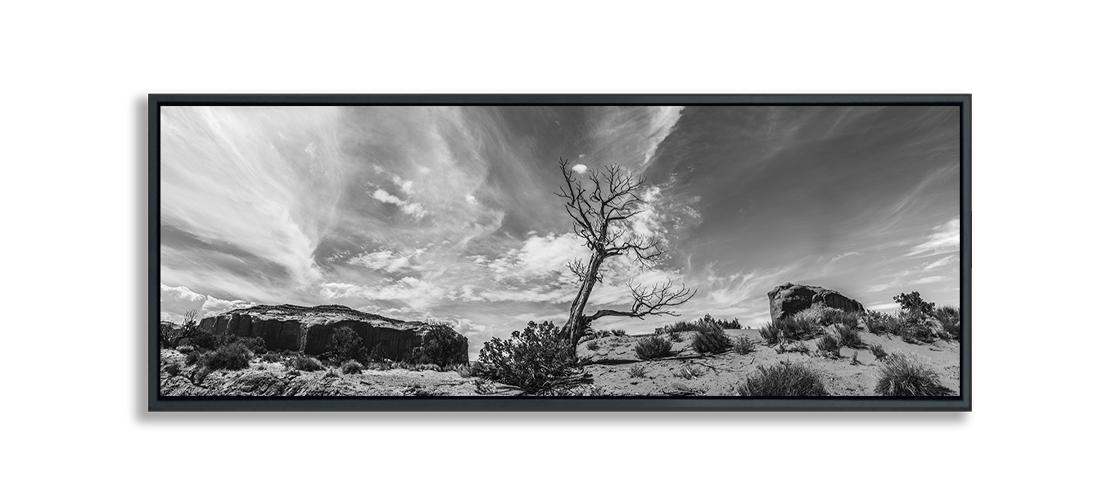 Fine Art Photography Print black and white Monument Valley dried desert tree against dramatic wispy clouds