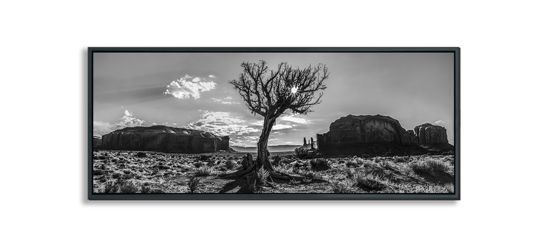 Monument Valley Desert Tree in between Buttes in background black and white fine art print