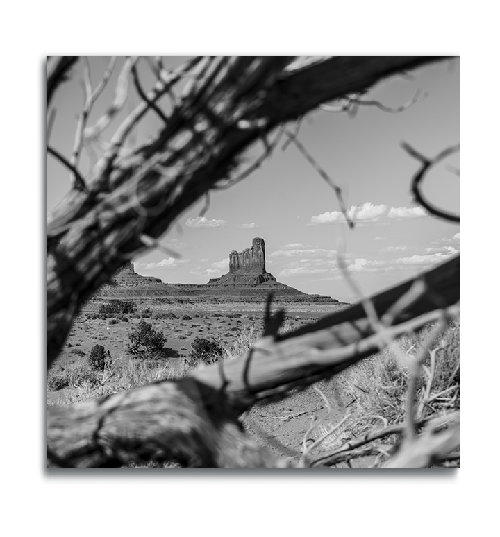 Monument Valley Square Metal Fine Art Print desert butte in long shot between dried branches out of focus in foreground