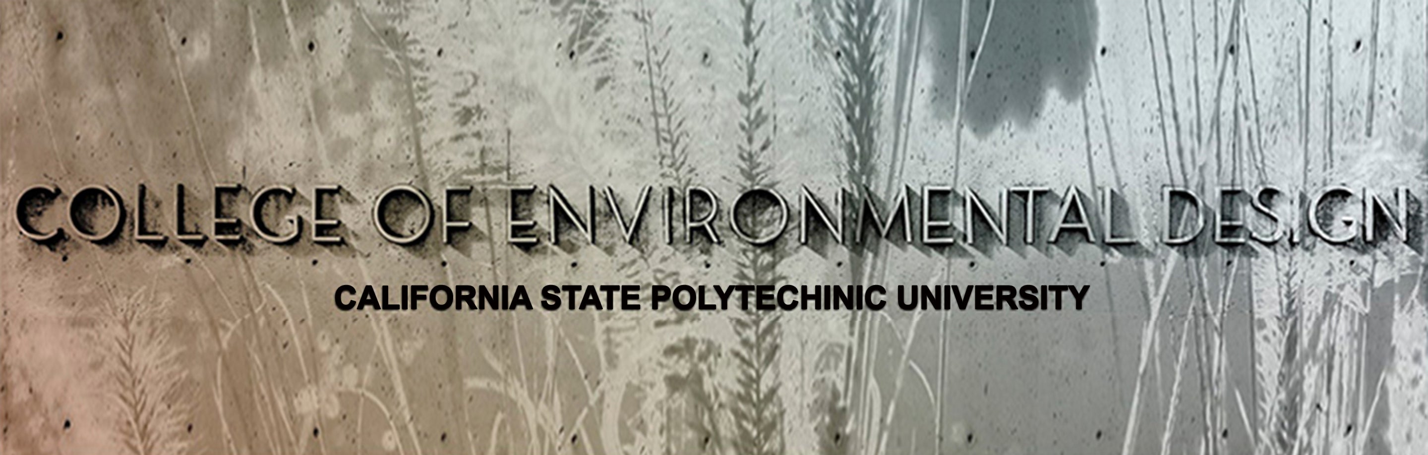 Fine art photography commission College of Environmental Design California State Polytechnic University building logo overlaid on toned black and white image long grasses and botanicals