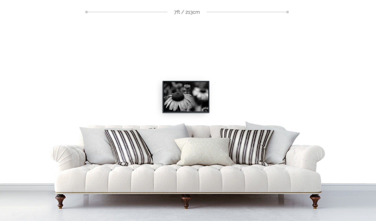 Flowers photograph framed black and white print echinacea cone flower in foreground focus displayed above sofa