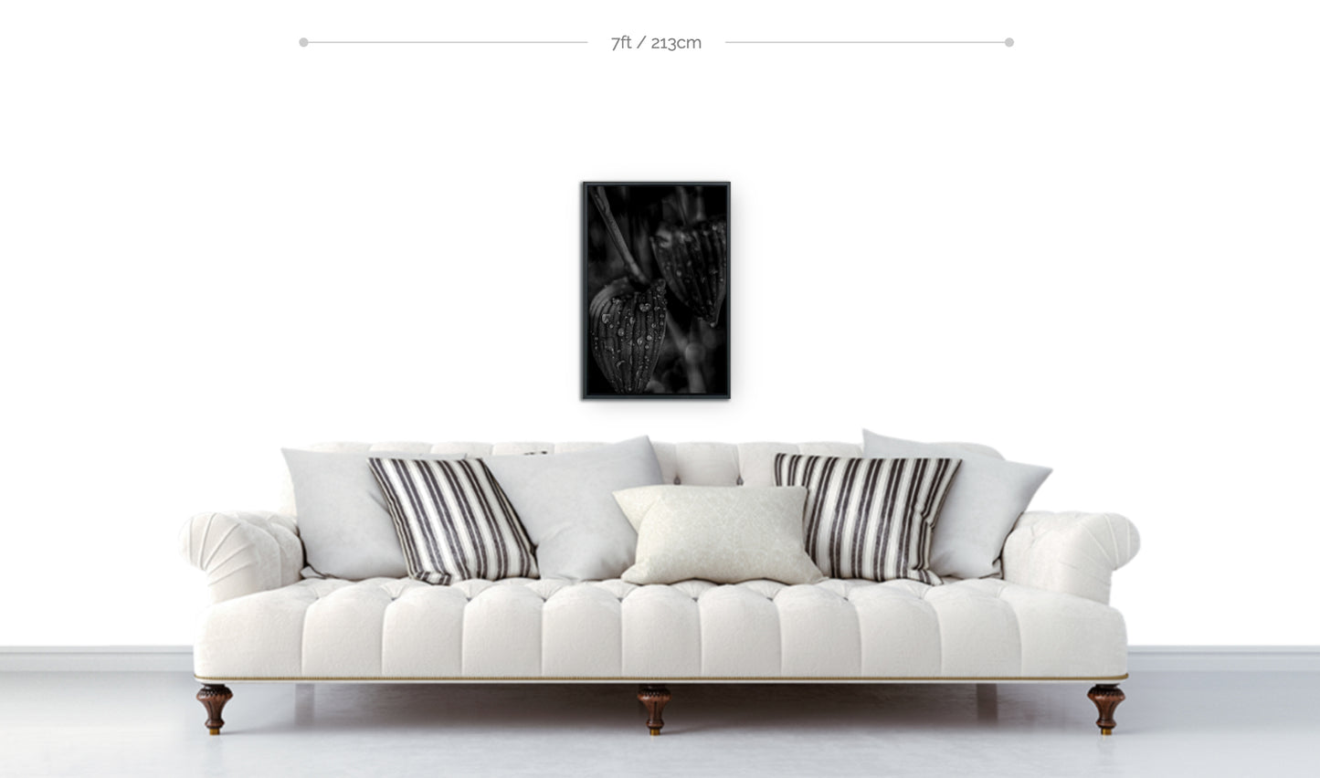 Metal print framed botanical wall art display black and white photograph closeup raindrops on leaves hanging above sofa