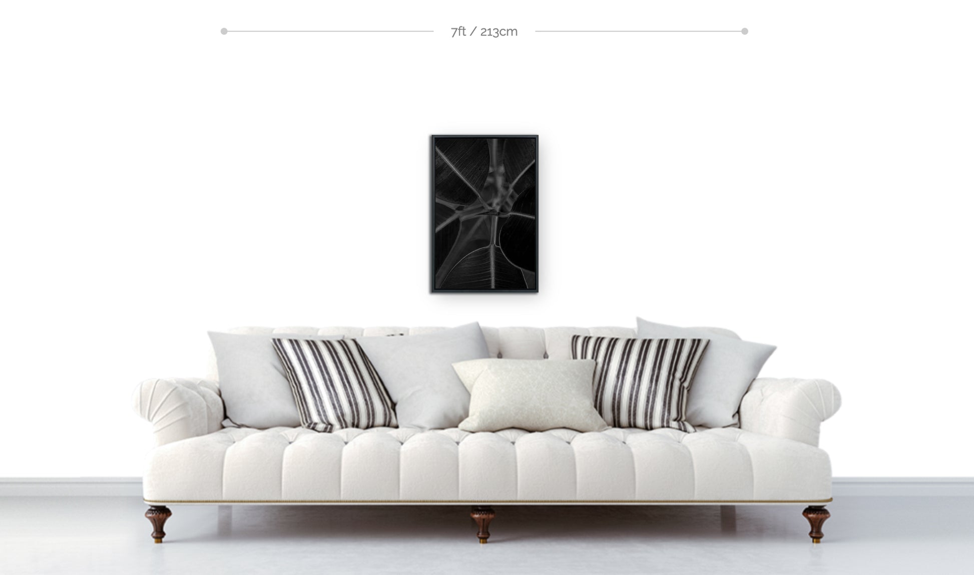 Botanical art framed black and white photograph closeup leaves growing from stem hanging above sofa