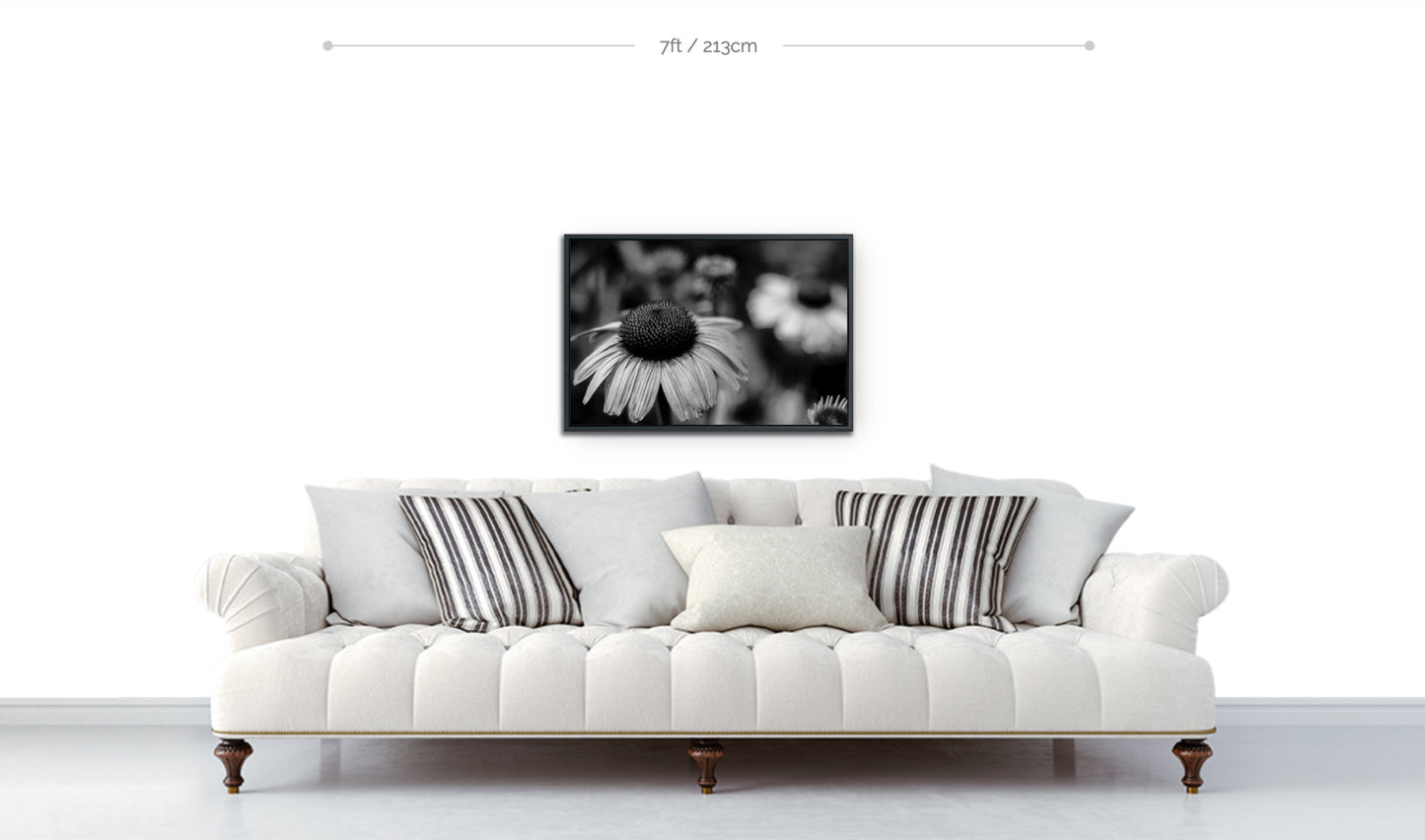 Framed flowers wall art black and white metal print echinacea cone flower in focus in foreground displayed above sofa