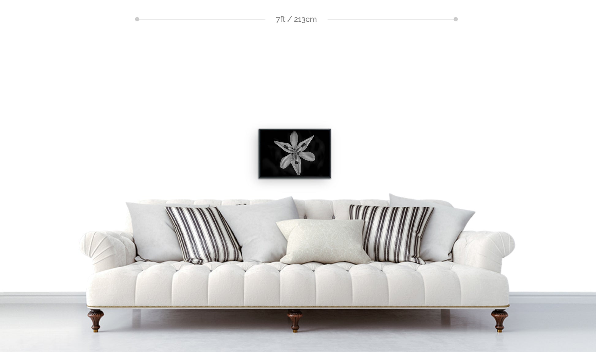 Flower print framed black and white photograph closeup fortnight lily hanging above sofa