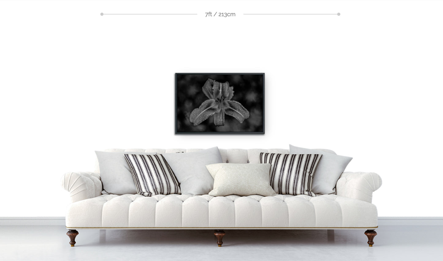 Flower wall decor framed metal print black and white closeup photograph daylily hanging above sofa