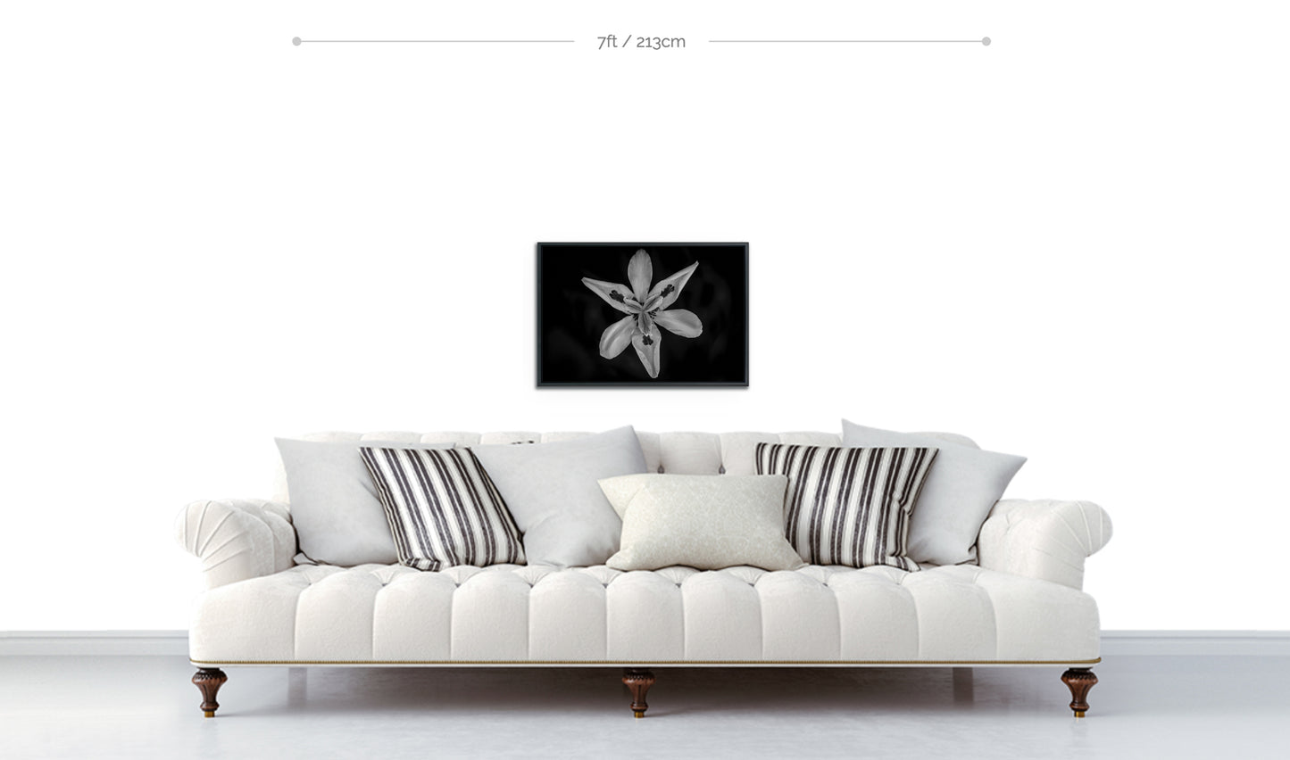 Flower wall hanging framed metal print closeup black and white photograph fortnight lily displayed above sofa