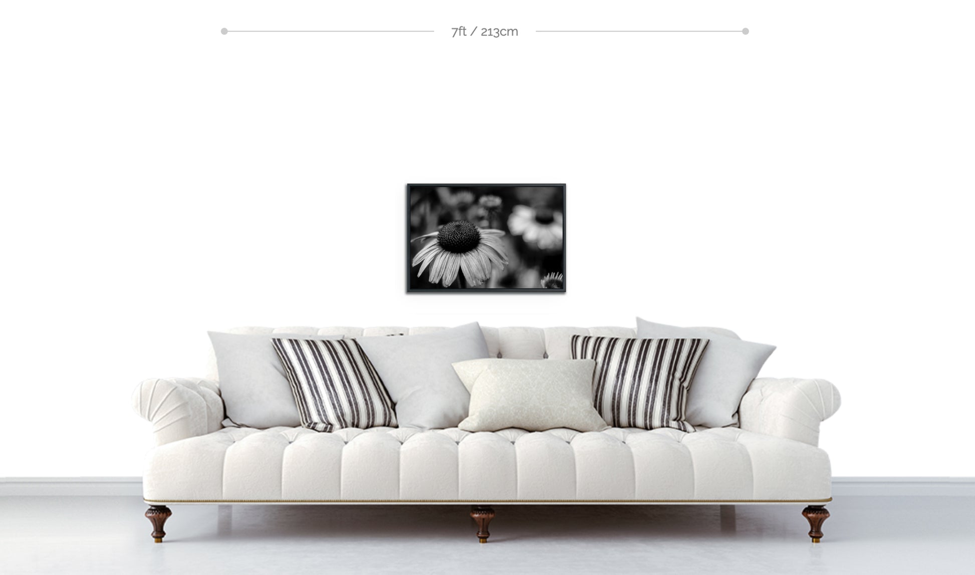 Flowers art print framed black and white photograph echinacea cone flower in focus in foreground hanging above sofa
